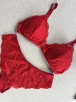 LANIS - Imagen 3